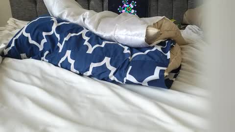 Amber  -   or vip  online show from September 12, 4:53 pm