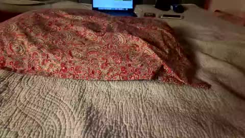 Amber  -   or vip  online show from March 8, 4:05 am