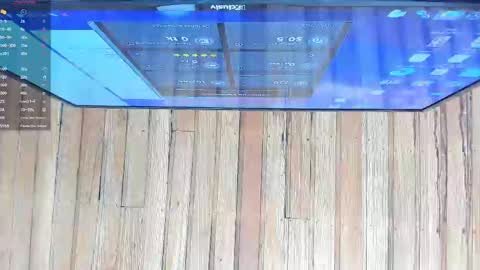  Hazel  online show from March 10, 12:49 pm