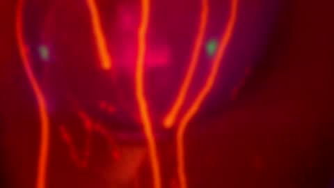 Alina online show from April 16, 3:56 pm