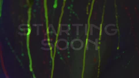 Alina online show from October 3, 7:55 pm