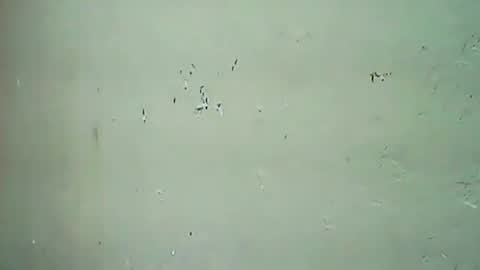 Snapshot of hhhjnf1 chatting on September 20, 9:45 am hhhjnf1 online show from September 20, 9:45 am