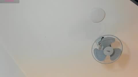 hilary_tailor online show from January 19, 11:09 am