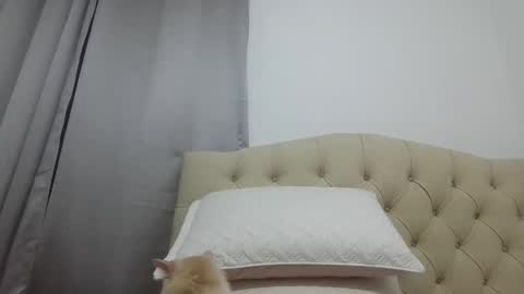 Snapshot of himoreno97 chatting on September 24, 1:45 am Hi moreno online show from September 24, 1:45 am