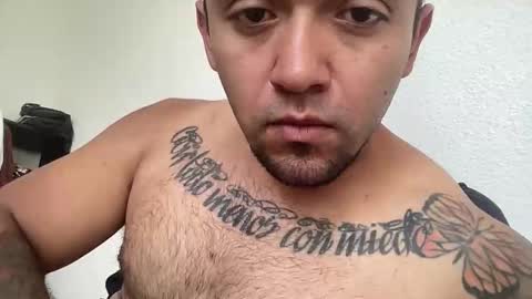 hipono online show from April 29, 3:28 pm