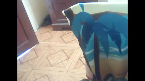 hiroman online show from March 30, 3:01 pm