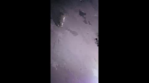 honeybear2026 online show from January 19, 5:28 am