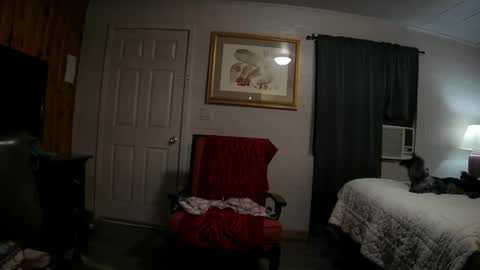 hoodoou online show from February 15, 7:51 am