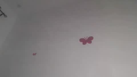 Iris online show from January 31, 7:33 pm