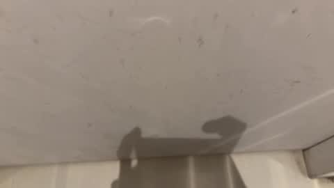 hornybear420420420 online show from March 2, 9:16 am