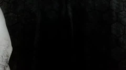 hornydude3435 online show from February 18, 5:29 am