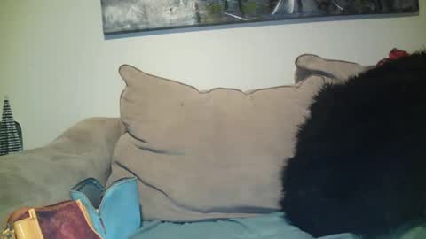 hotpepperose online show from December 2, 1:59 am