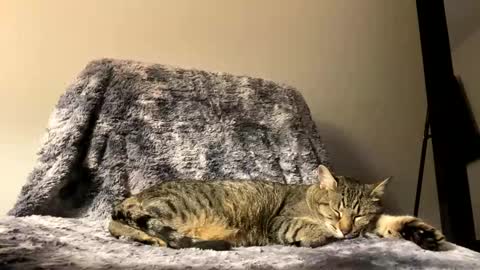 hottiewithabody101 online show from April 17, 9:50 pm