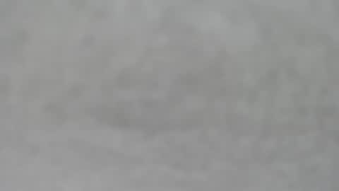 Slutty little female cat online show from October 19, 4:50 am