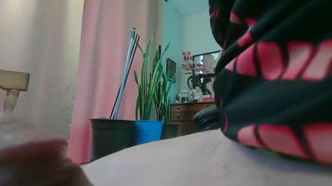 humandildo4u online show from February 14, 8:33 pm