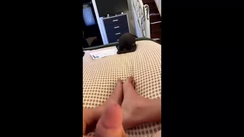 hungminer69 online show from April 13, 3:11 am