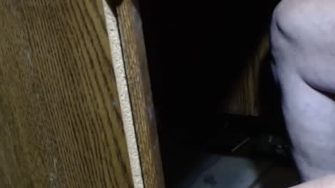 hungsofine online show from December 15, 9:09 pm