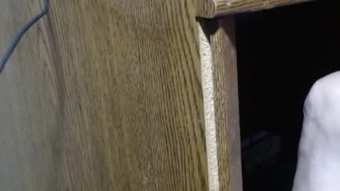 hungsofine online show from December 29, 6:16 pm