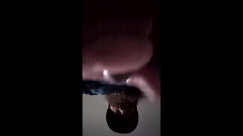 iamchango online show from March 14, 3:27 pm