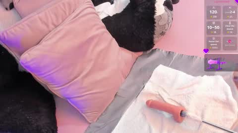 Steph - Online Again   - 1 DECEMBER online show from January 12, 4:52 am