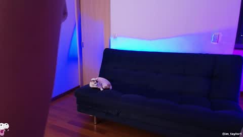 TAYLOR  online show from October 24, 1:06 am