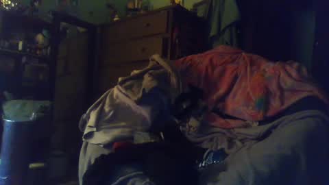 Snapshot of indigo_scorpio chatting on February 24, 12:52 am indigo_scorpio online show from February 24, 12:52 am