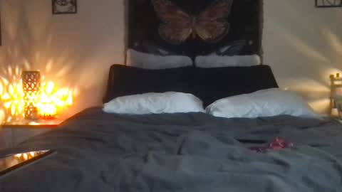 Indigo Bay online show from February 16, 7:26 am