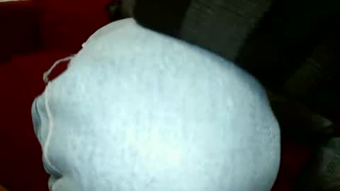 biondo italian online show from November 29, 10:01 am