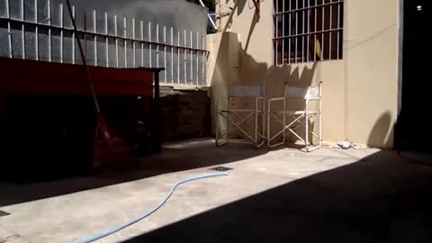 italiankingstripper online show from February 14, 3:04 pm