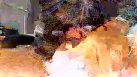 itsmeyes69 online show from April 7, 2:30 pm