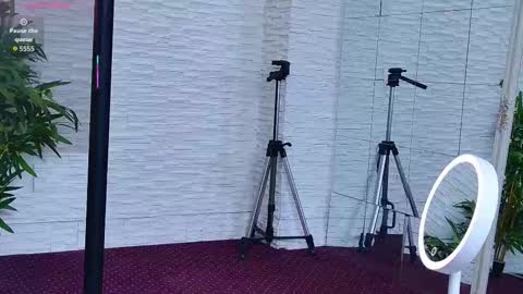 Celine online show from November 14, 5:53 am