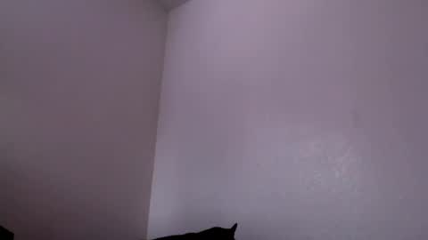 Mugen online show from February 4, 6:27 pm