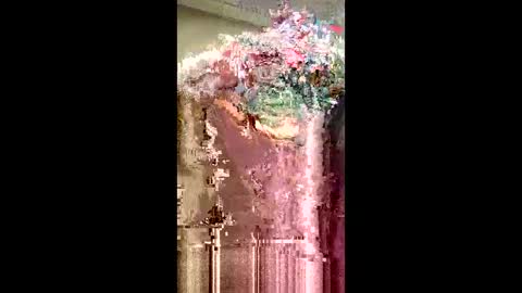 wonderbread online show from January 16, 3:26 am