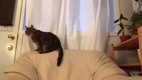 Jacob online show from October 19, 11:04 am