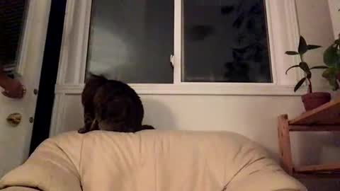 Jacob online show from October 10, 2:28 am