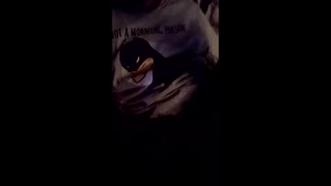 just2seeUcum online show from February 26, 12:30 pm