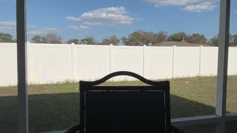 Jade Love online show from February 26, 8:58 pm