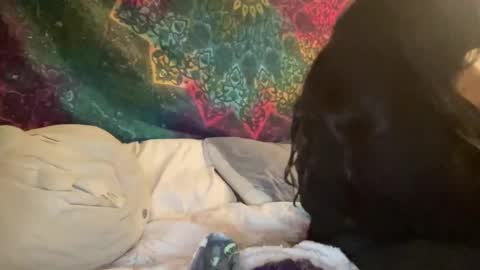 Jadexbabe online show from January 27, 11:54 am