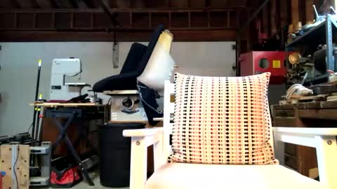 Snapshot of jawssharkparty chatting on October 14, 3:59 pm Jaws online show from October 14, 3:59 pm