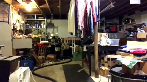 Jaws  online show from November 3, 7:59 pm