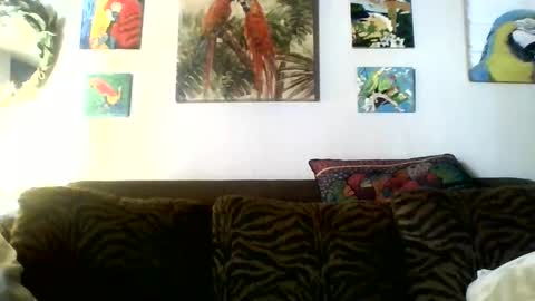 jay-jay1475 online show from February 26, 3:10 pm