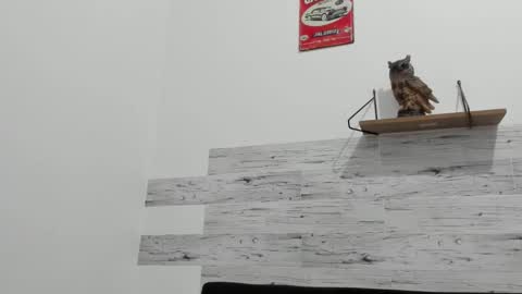 Jaycreedd online show from September 30, 12:54 am