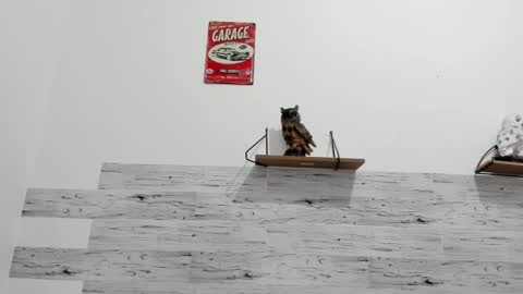 Jaycreedd online show from October 13, 1:40 am