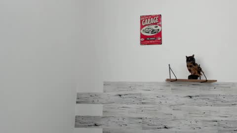 Jaycreedd online show from March 7, 6:11 pm