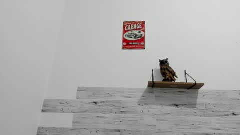 Jaycreedd online show from November 21, 3:26 am