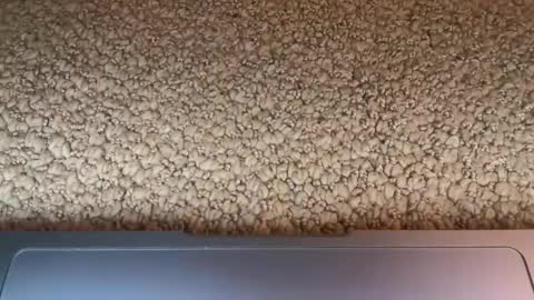 jdbbc9foru online show from March 1, 5:33 am