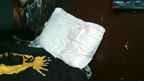 jdog00133 online show from March 22, 9:57 am