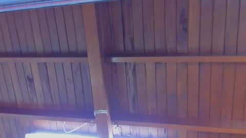 Snapshot of jeicob_gagnon chatting on February 21, 4:16 pm jeicob gagnon online show from February 21, 4:16 pm
