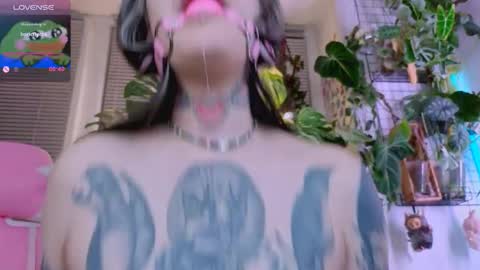 Jelya online show from December 2, 3:21 pm