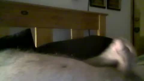 jerkmate6666 online show from March 15, 9:29 pm